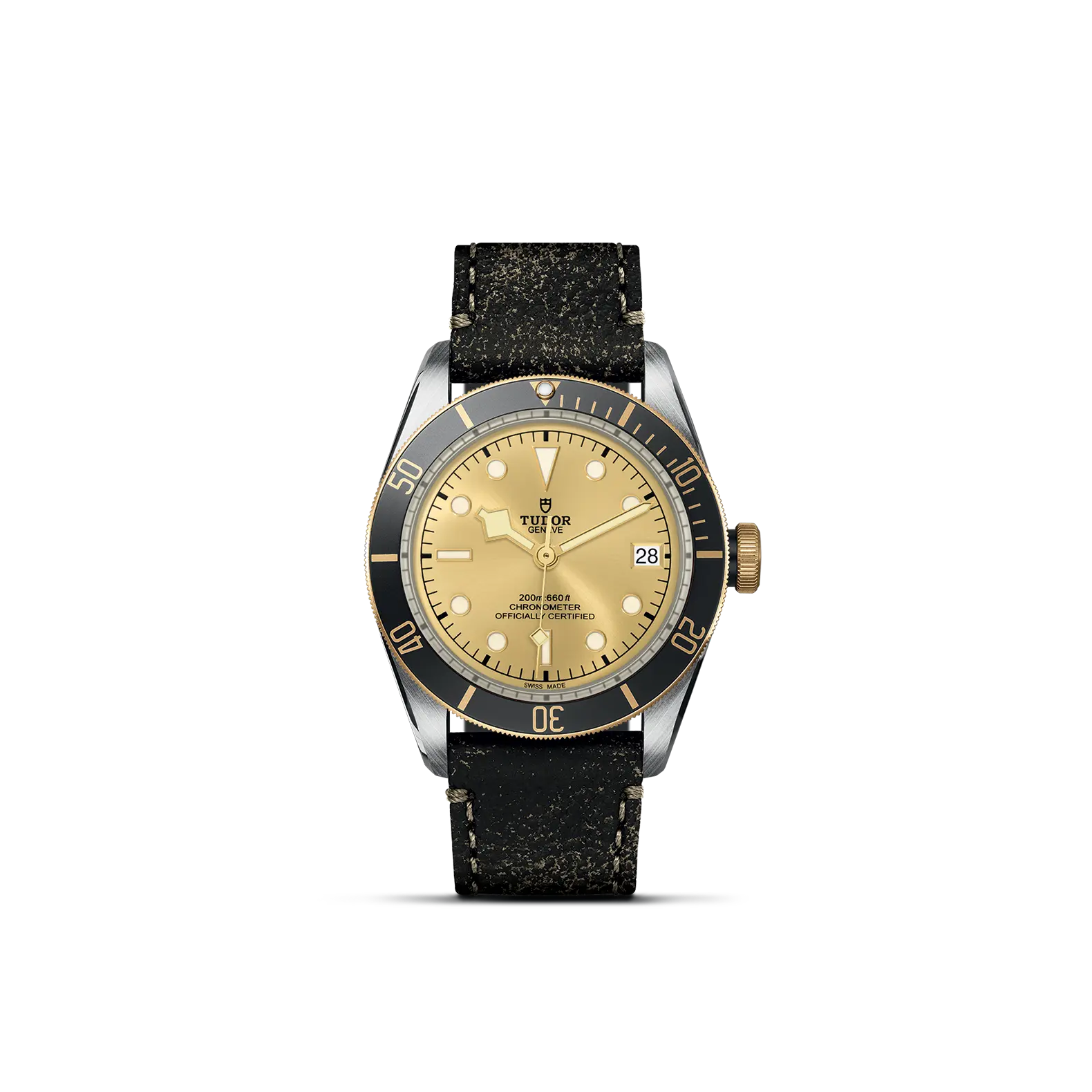 Black Bay S&G - Rivenditore autorizzato 